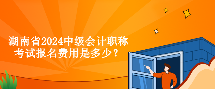 湖南省2024中级会计职称考试报名费用是多少？