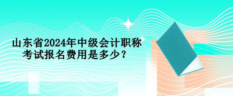 山东省2024年中级会计职称考试报名费用是多少？