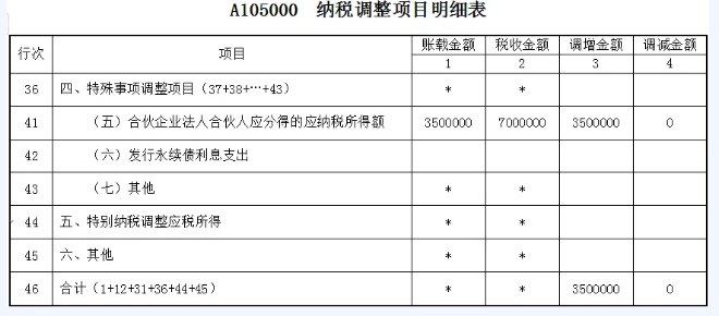 纳税调整项目明细表