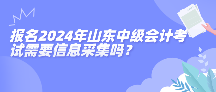 山东中级信息采集