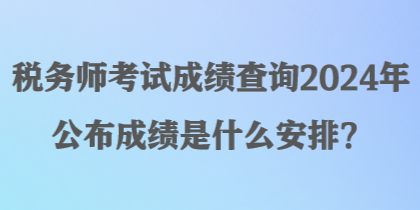 税务师考试成绩查询2024年公布成绩是什么安排？