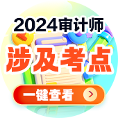 考了什么内容？2024初级审计师《审计理论与实务》涉及考点总结