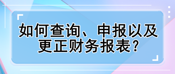 如何查询、申报以及更正财务报表？