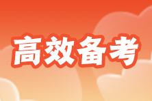 2025年中级审计师《审计理论与实务》各章节重要性及学习重点