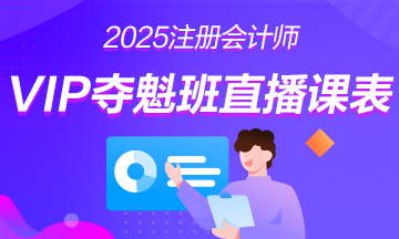 2025年注册会计师VIP夺魁班直播课表安排