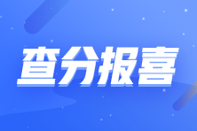 22日18点：网校六大名师与你直播间畅聊注会查分后规划