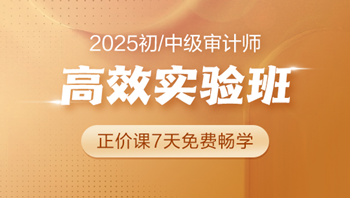 2025初/中级审计师高效实验班 0元畅学7天