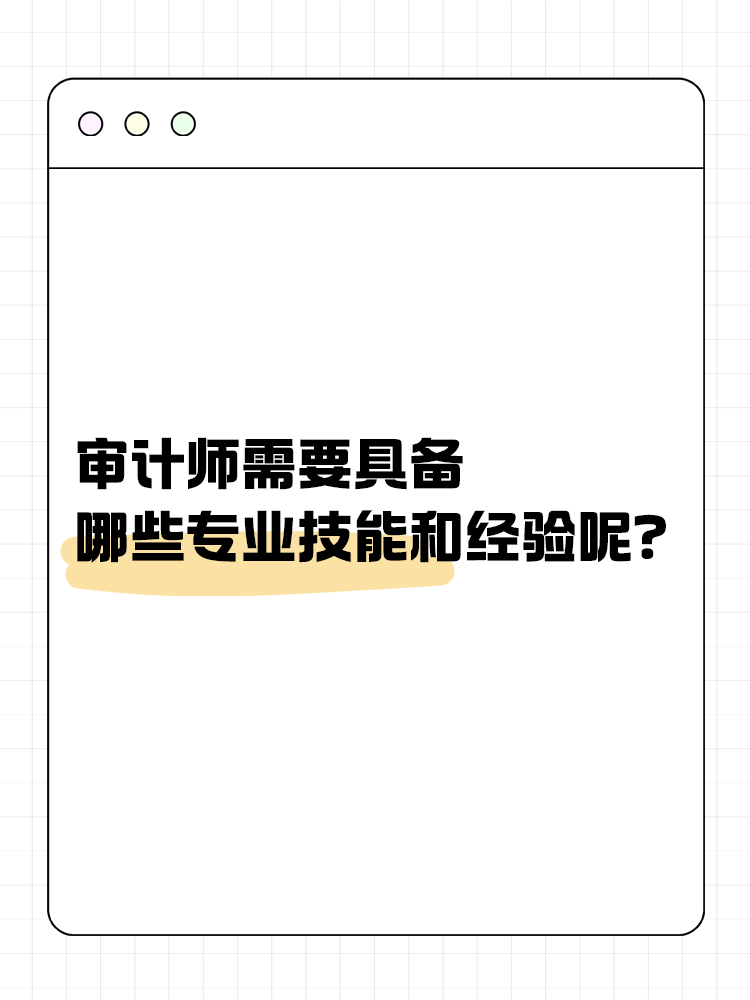 审计师需要具备哪些专业技能和经验呢？