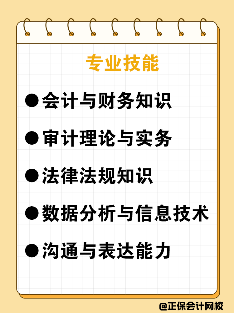 审计师需要具备哪些专业技能和经验呢？