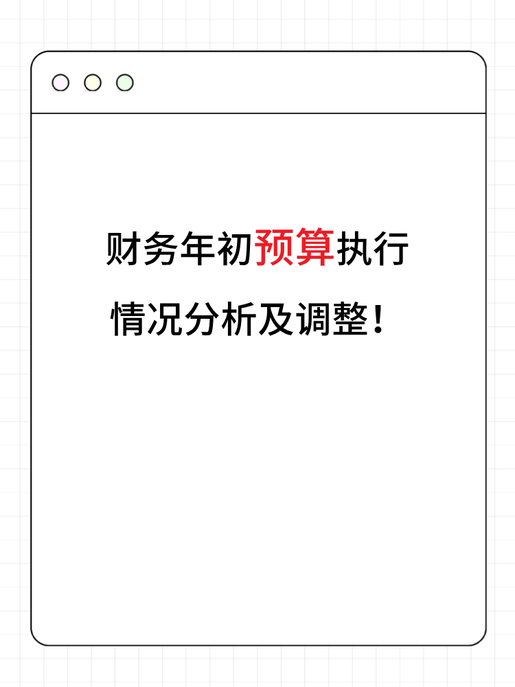 财务年初预算执行情况分析及调整！