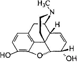 [生物化学]吗啡能进行下列哪些结合反应